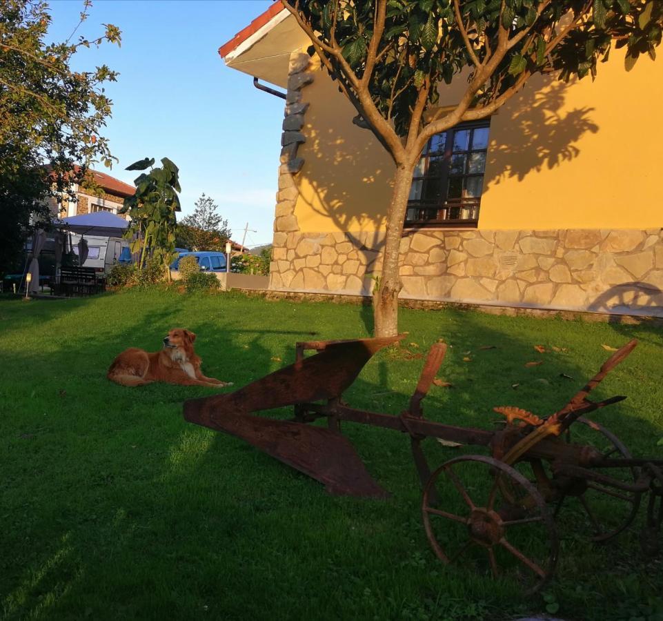Casa rural La Fragua Del Canajal San Cosme