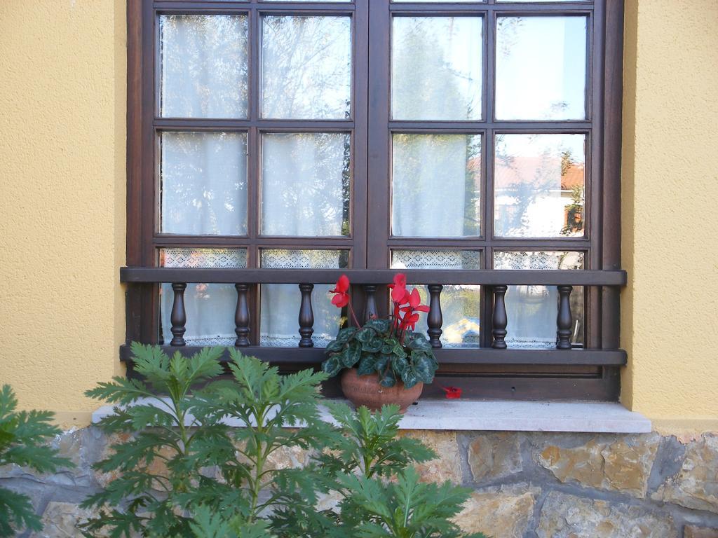 Country house La Fragua Del Canajal San Cosme